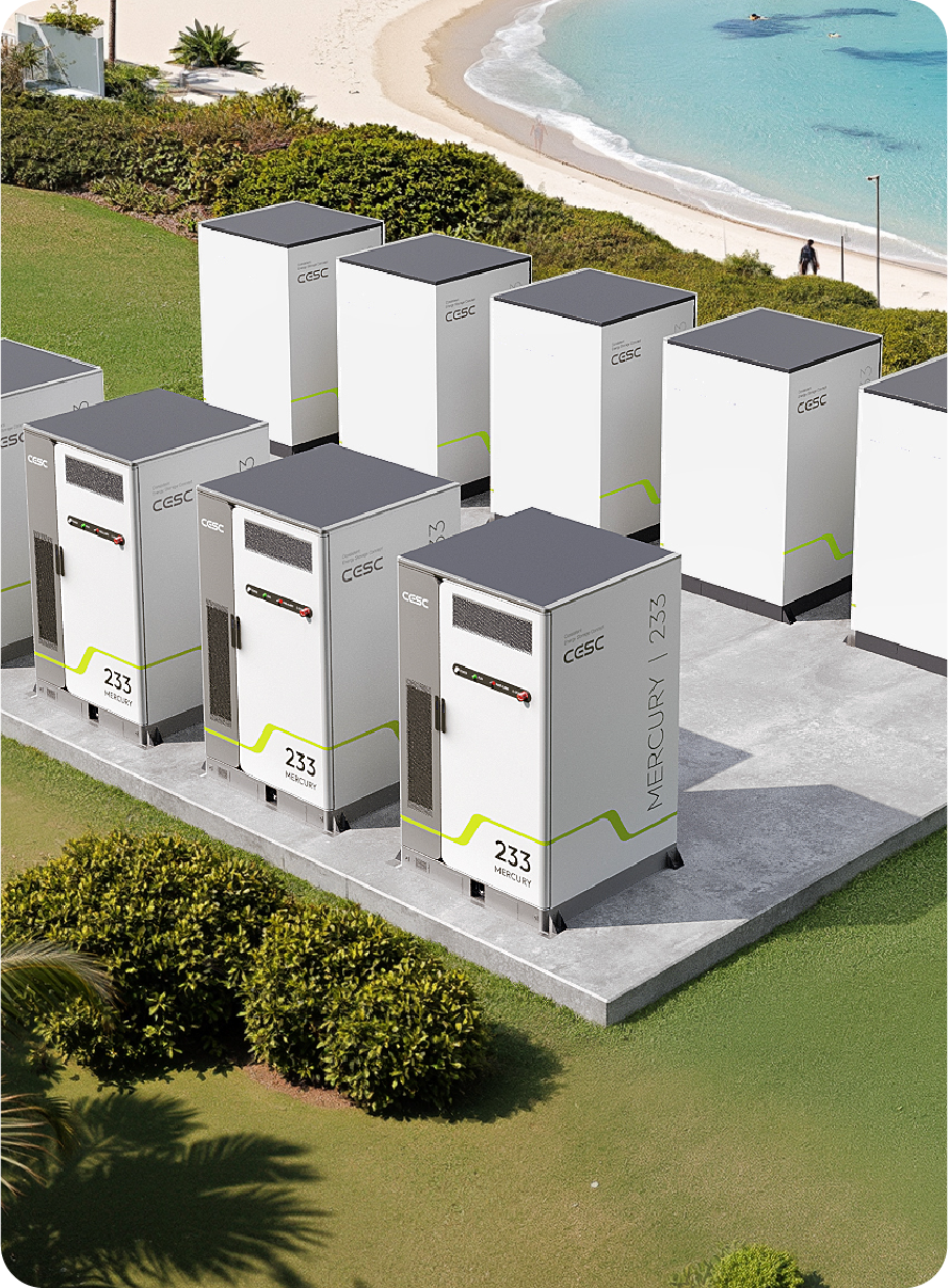 Smart Microgrids