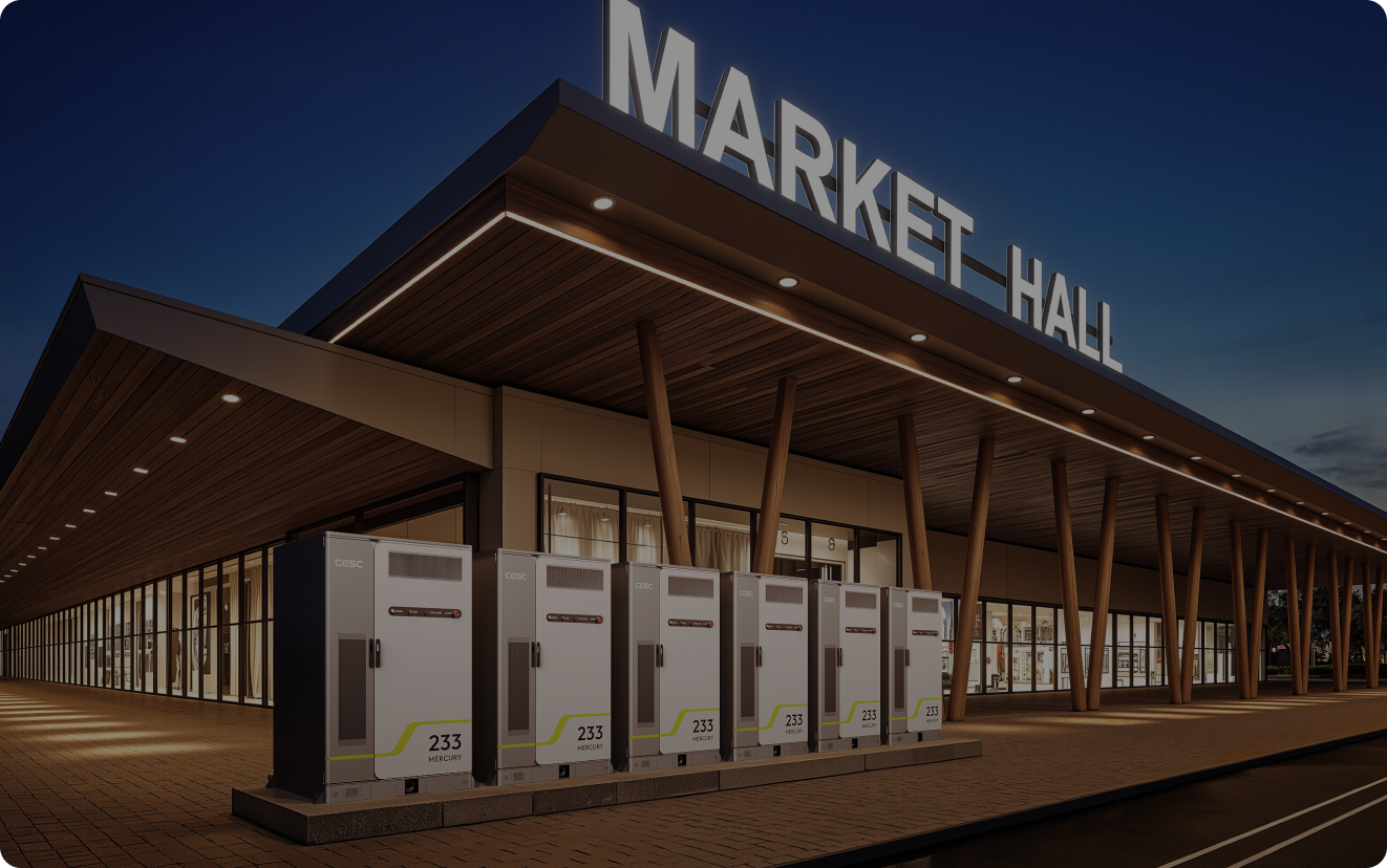 Commercial & Industrial (C&I) Energy Storage Solution